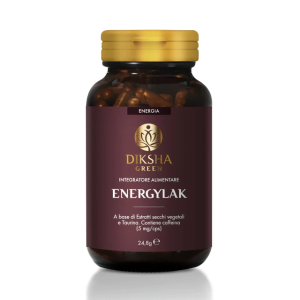 ENERGYLAK – Recarga de energía